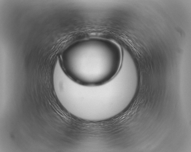 X0000116041444200911201335