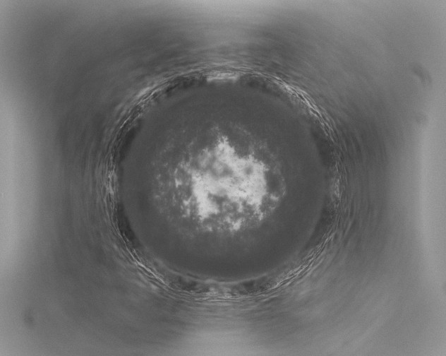X0000116041445200911201335
