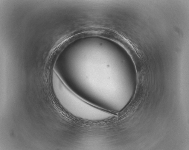 X0000116041448200911201335