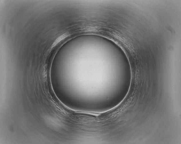 X0000116041450200911201335