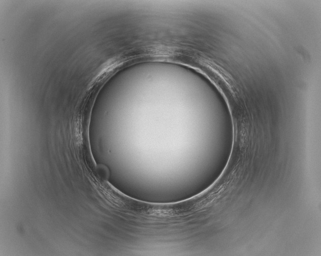 X0000116041451200911201335