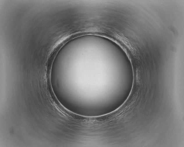 X0000116041452200911201335