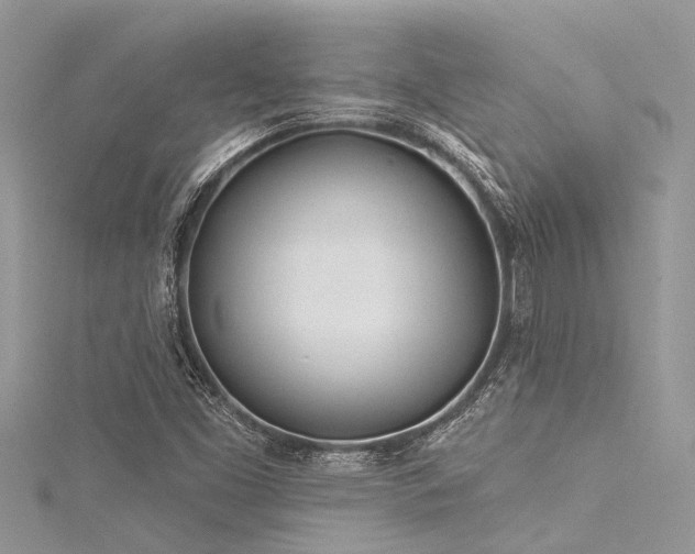 X0000116041453200911201335