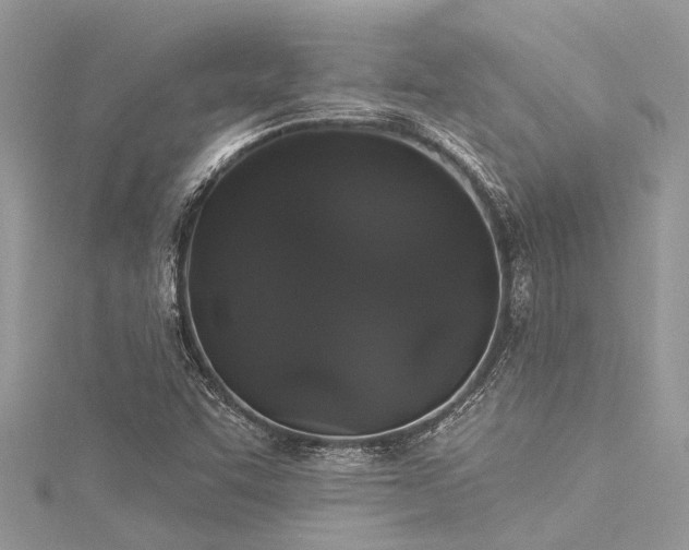 X0000116041455200911201335