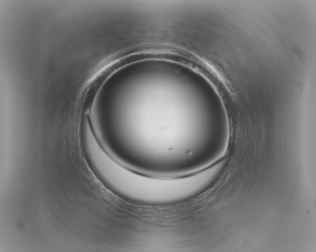 X0000116041456200911201335