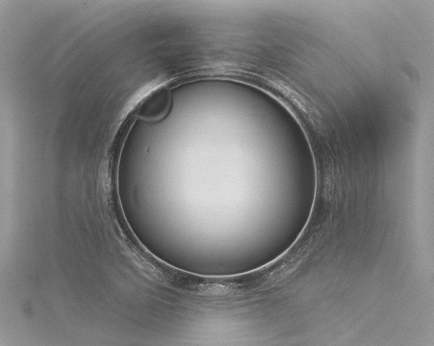 X0000116041458200911201335