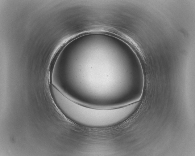 X0000116041472200911201334