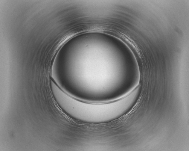 X0000116041481200911201334