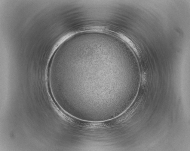 X0000116041482200911201334