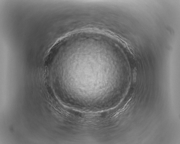 X0000116041494200911201334