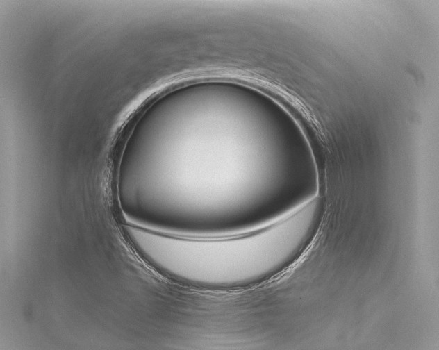 X0000116041502200911201334