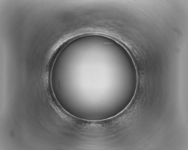 X0000116041503200911201334