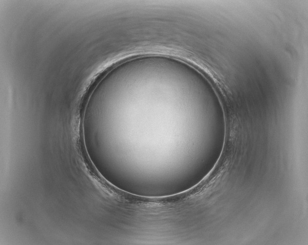 X0000116041507200911201334