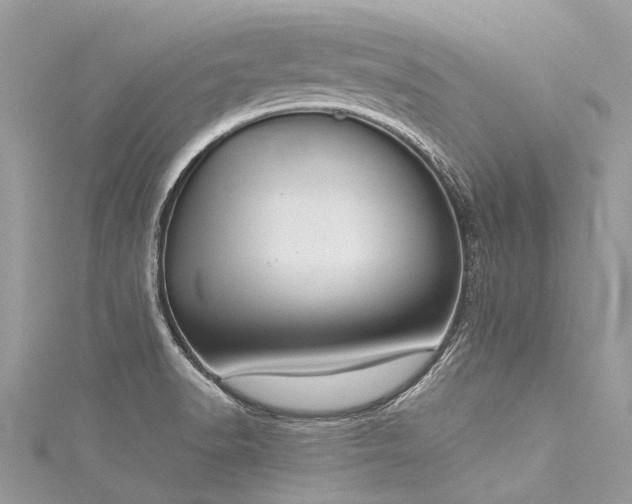 X0000116041518200911201334