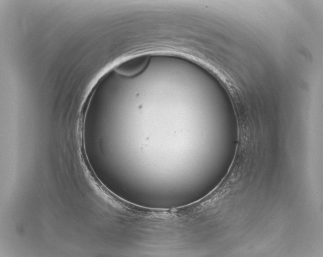 X0000116041526200911201334