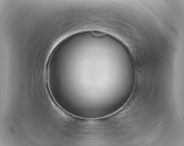 X0000116041527200911201334