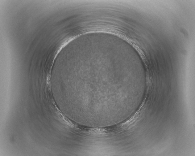 X0000116041529200911201334