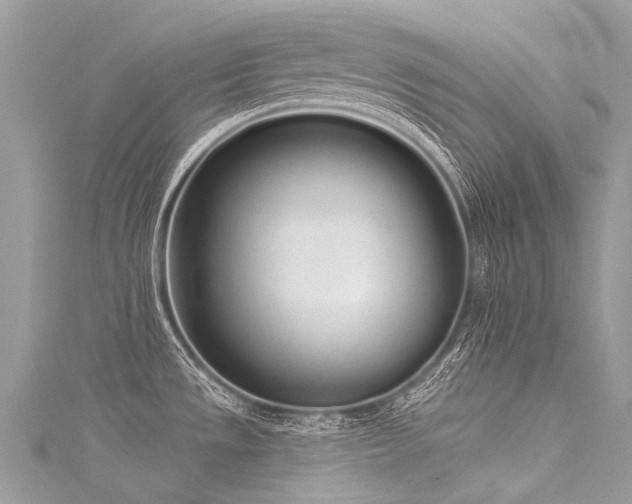 X0000116041533200911201334