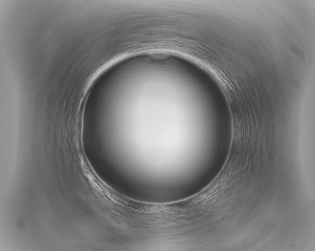 X0000116041534200911201334