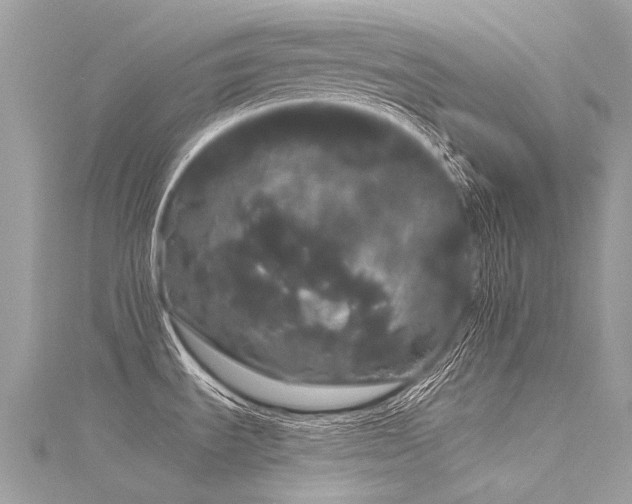X0000116041535200911201334