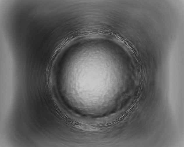 X0000116040002200911271207