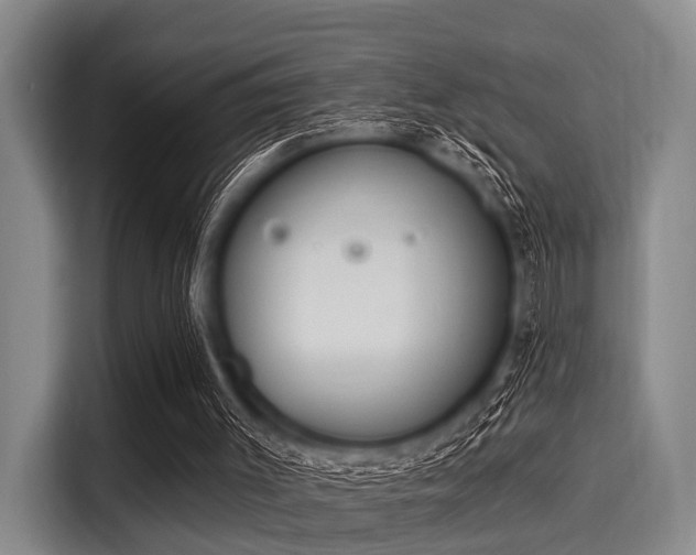 X0000116040003200911271207