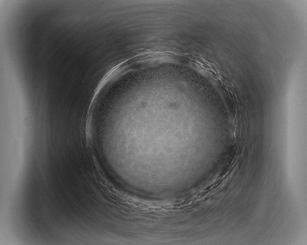 X0000116040004200911271207