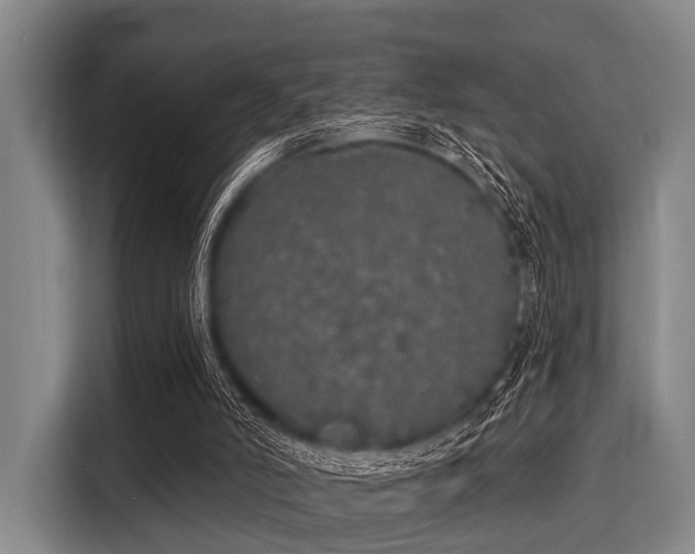 X0000116040006200911271207