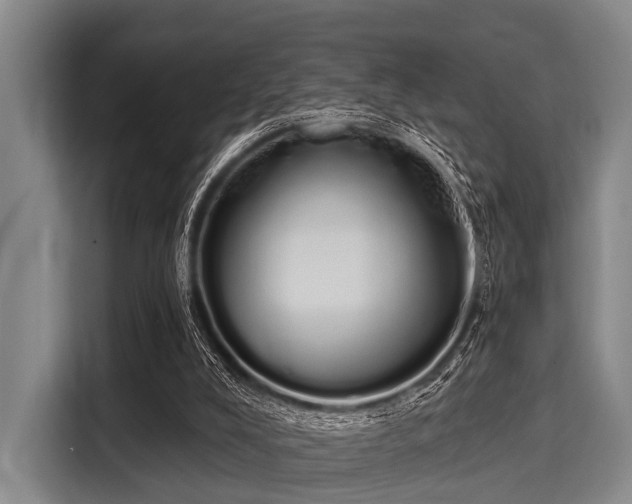 X0000116040008200911271207