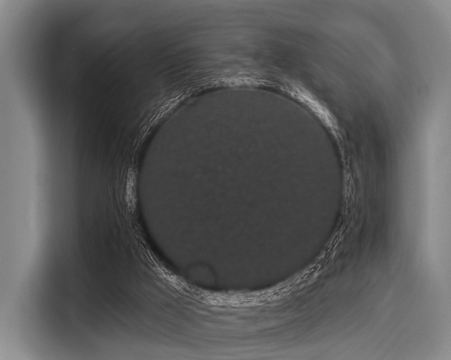 X0000116040009200911271207