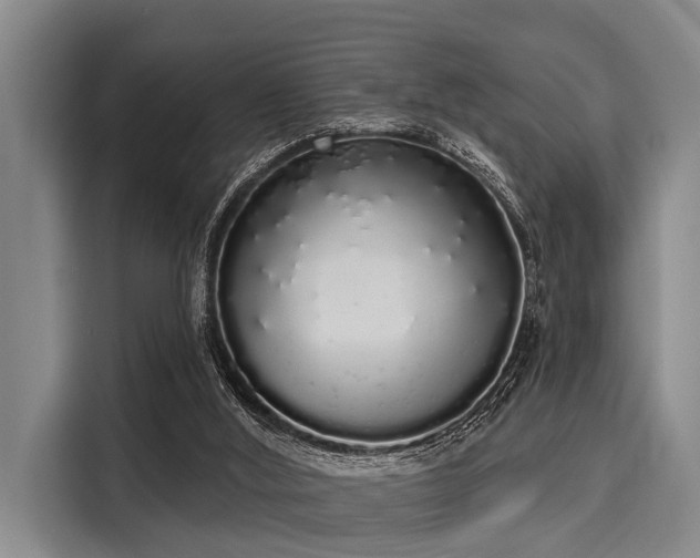 X0000116040012200911271207