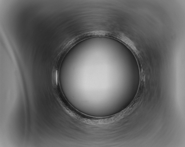 X0000116040013200911271207