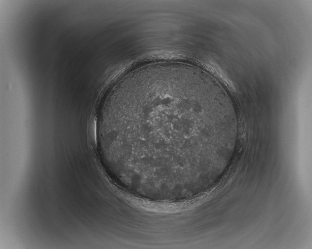 X0000116040014200911271207