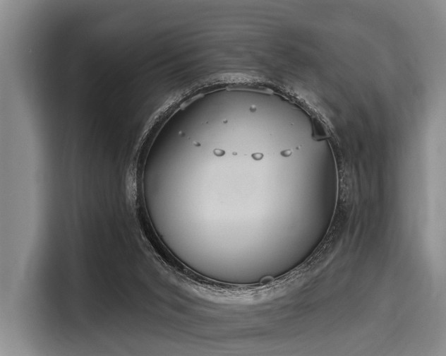 X0000116040015200911271207