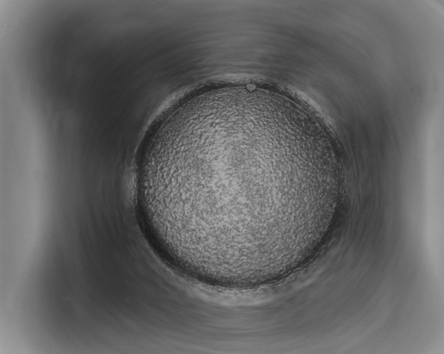 X0000116040016200911271207