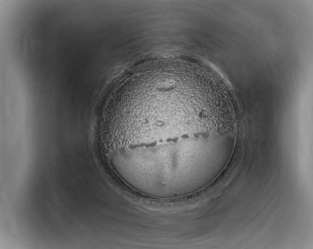 X0000116040018200911271207