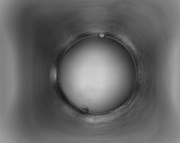 X0000116040021200911271207