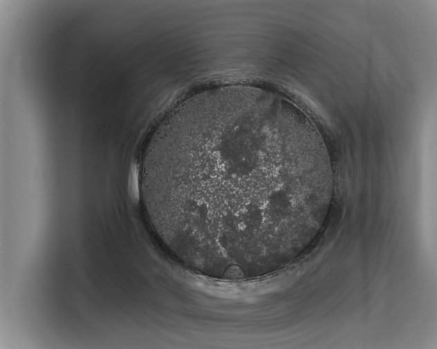 X0000116040022200911271207