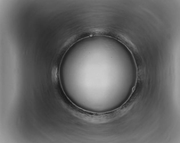 X0000116040024200911271207