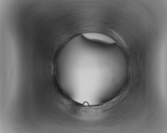 X0000116040025200911271207