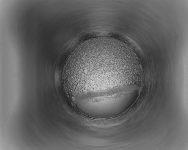 X0000116040026200911271207