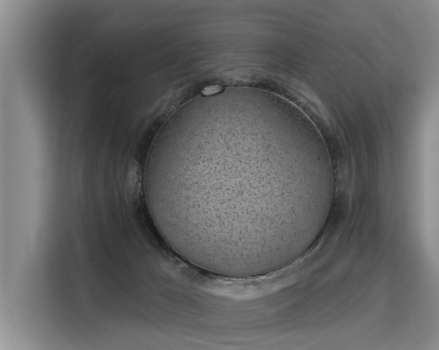 X0000116040029200911271207