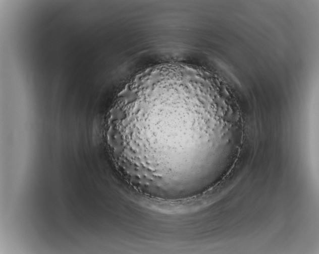 X0000116040030200911271207