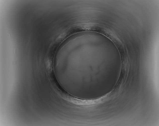 X0000116040031200911271207