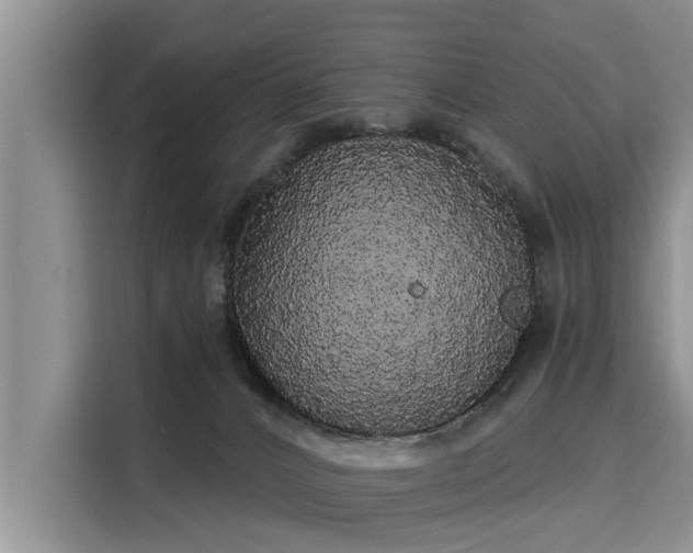 X0000116040032200911271207