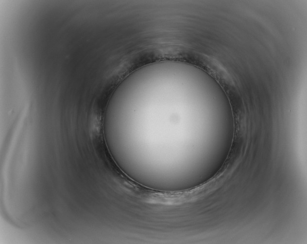 X0000116040033200911271207