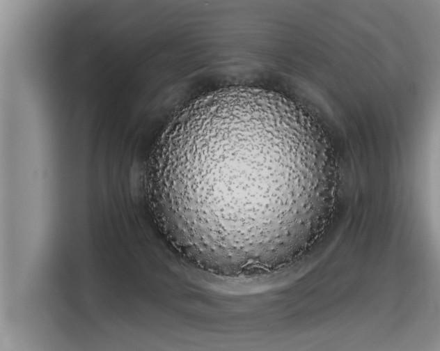 X0000116040034200911271207