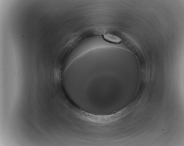 X0000116040035200911271207