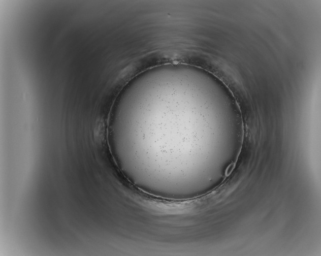 X0000116040036200911271207