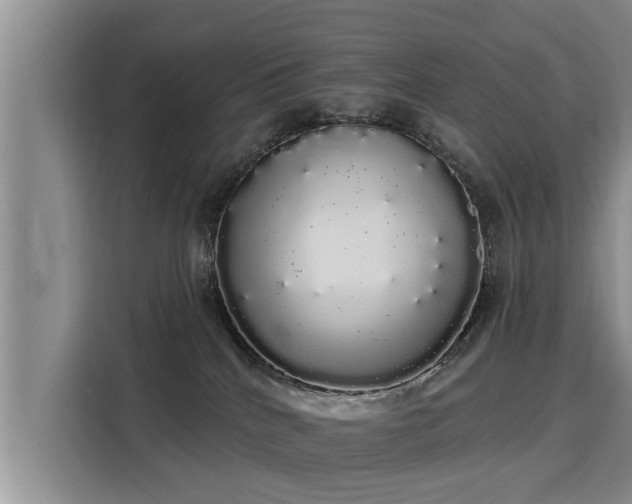 X0000116040040200911271207